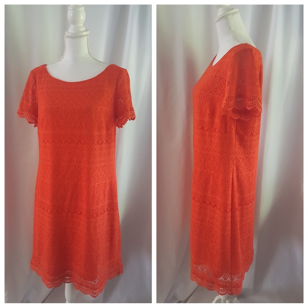 MAGGY BARNES Orange Lace DRESS